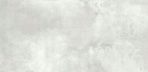 ANTICO SILVER POLISHED 60x120 GAT I