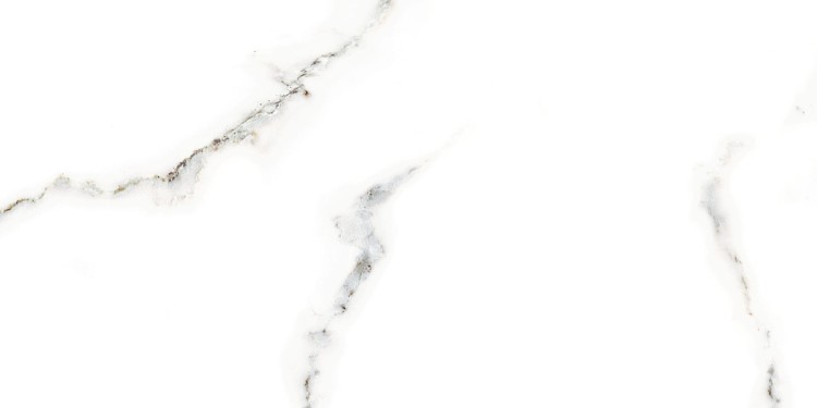 WALL CARRARA SHINY 30x60 GAT I
