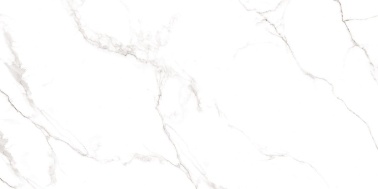 REAL WHITE LAPPATO CARVING REKT. 60X120 G.1.jpg