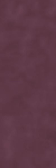 placeofshine.jpg