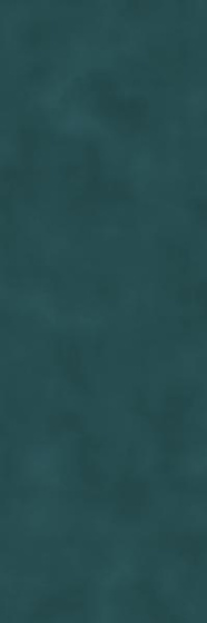 wildstory.jpg